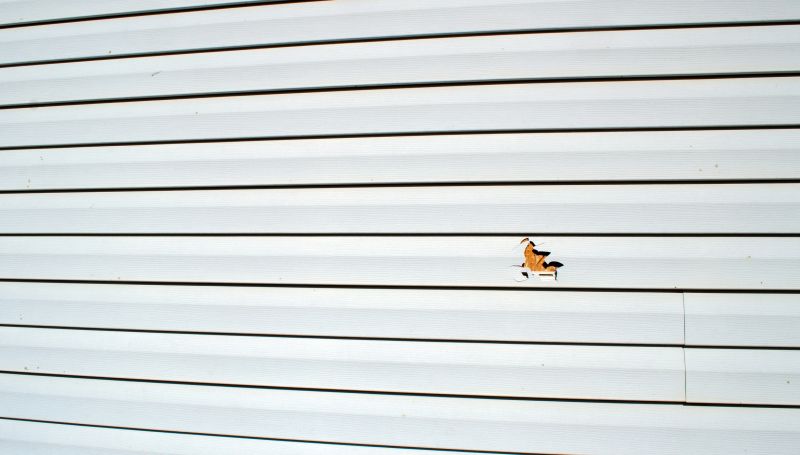 Vinyl Siding Damage Assessment