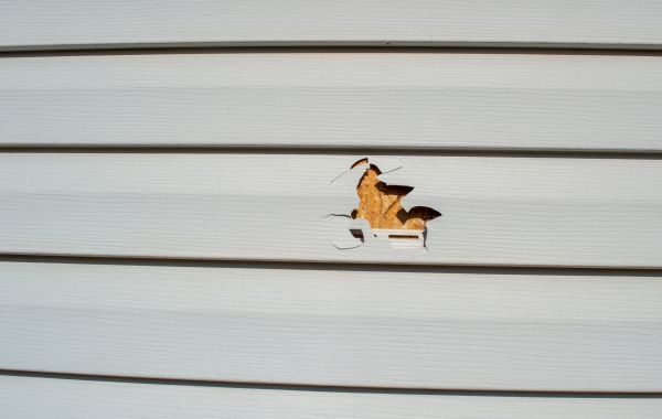 Siding Hole Patching in Fort Wayne